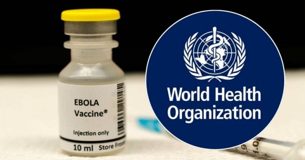 DSÖ: Ebola Aşısının Hazır Olması Dokuz Ayı Bulabilir