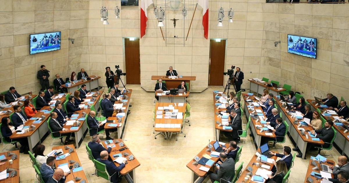 Momentum: Etkili Bir Parlamento İçin Reform Şart