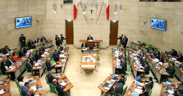 Momentum: Etkili Bir Parlamento İçin Reform Şart