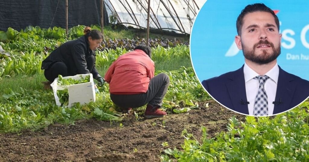 Alex Borg, Çiftçiler, Yetiştiriciler ve Gönüllü Kuruluşlar İçin Fatura İndirimi İstedi