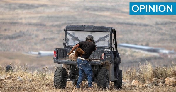 Nakba 1948'de Başlamadı ve Bitmedi: Filistinlilerin On Yıllardır Süren Felaketi