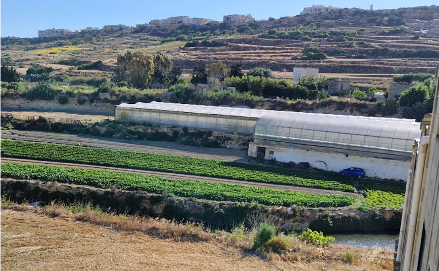 Wied ta' Zejta yakınlarındaki tarım arazisi