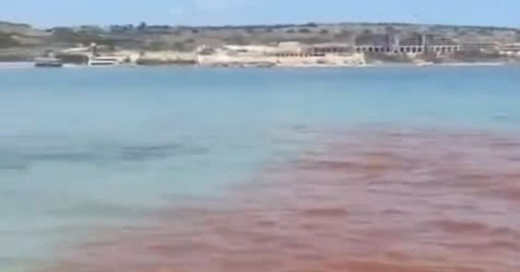 Għadira Körfezi'ndeki Pas Sızıntısının Kaynağı Arızalı Sistem Çıktı
