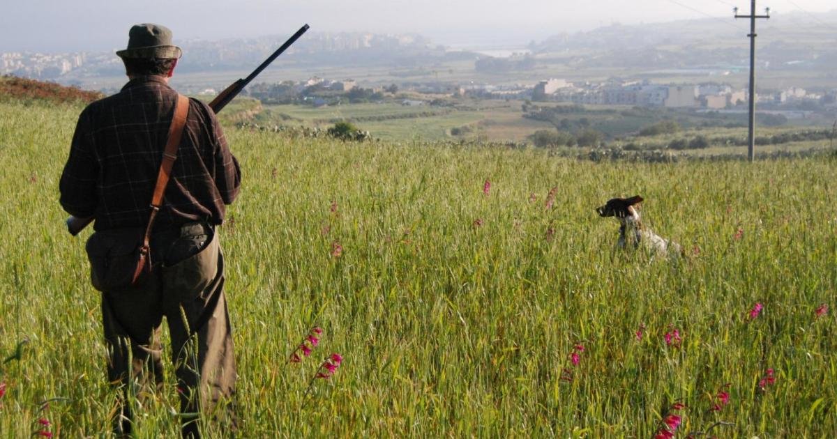 Momentum Hareketi, PL ve PN'yi 'Avcılık Lobisine Yaltaklanmakla' Suçladı
