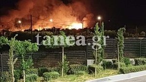 Sliema'daki Aşkının Öldüğünü Söylediler, 40 Yıl Sonra Onu Sağ Buldu