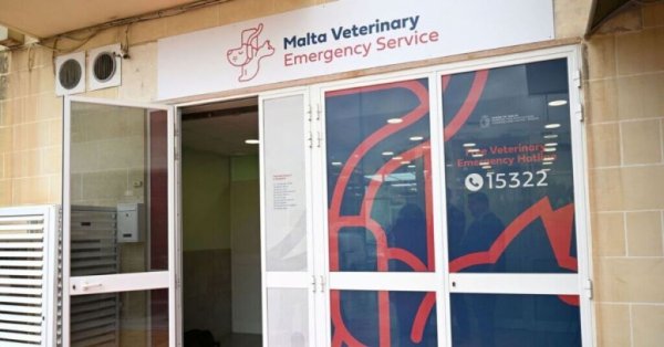 Malta'nın Gece Acil Veteriner Kliniği Açıldığından Bu Yana 1.500 Hayvana Baktı