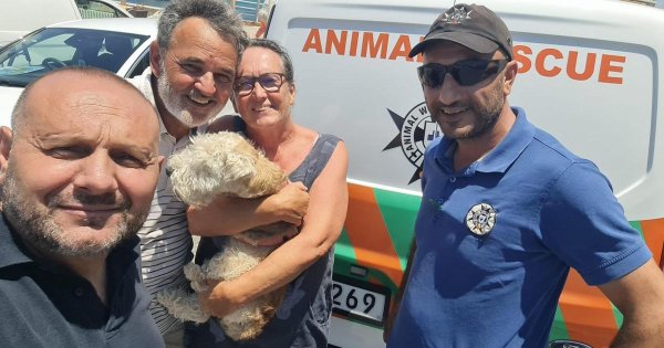 Mavi Lagün'de Denize Düşen Köpek Saatler Sonra Kurtarıldı