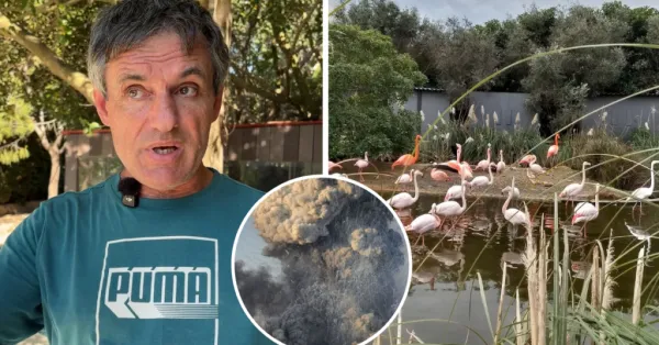 BirdPark Sahibi Patlama Sonrası Hayvanlarını Kaybetti: "Onlar Benim Ailemdi"
