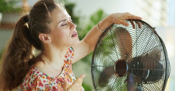 Sıcaklık 30°C'yi Bulduğunda Her Maltalının Yaptığı 7 Şey