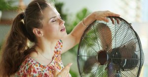Sıcaklık 30°C'yi Bulduğunda Her Maltalının Yaptığı 7 Şey