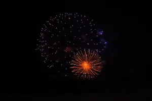 Maltalı AP üyeleri, AB'nin havai fişek endüstrisi yasağı çağrısını reddetti