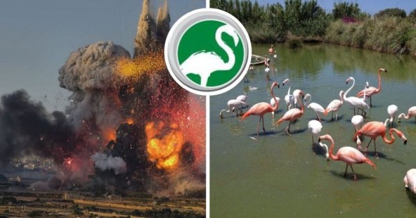 Naxxar'daki Patlamanın Ardından BirdPark Malta Kapılarını Kapattı