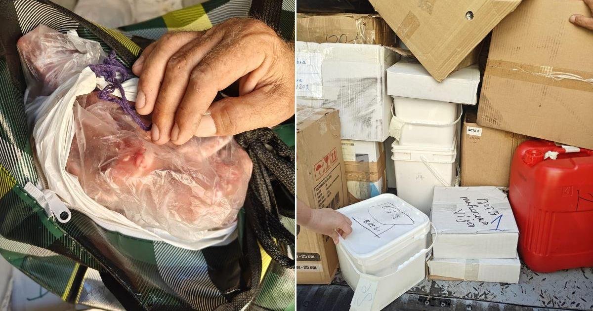 Arnavutluk'tan Malta'ya Ulaşan Tehlikeli Gıda Yükü İmha Edilecek