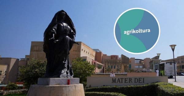 Malta'da İş Yerinde Toplu Gıda Zehirlenmesi: 19 Kişi Hastanelik Oldu