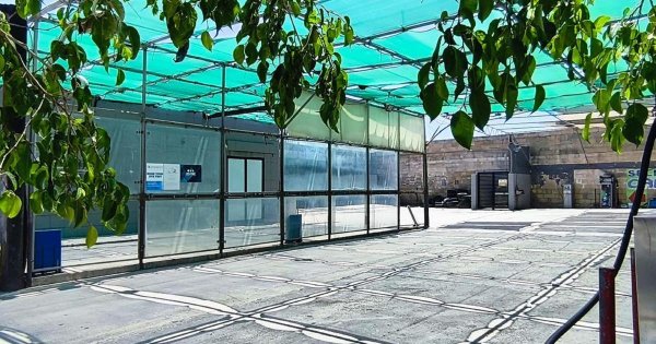 St Paul's Bay sakinleri oto yıkama gürültüsünden bıktı