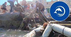 Marsamxett Deniz Tabanındaki Yıllanmış Plastik Ağlar Temizlendi