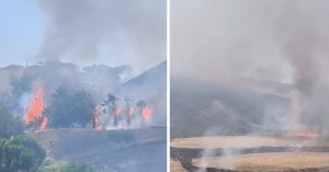 İzle: Gozo'daki Gelmus Tepesi'nde Büyük Orman Yangını Çıktı