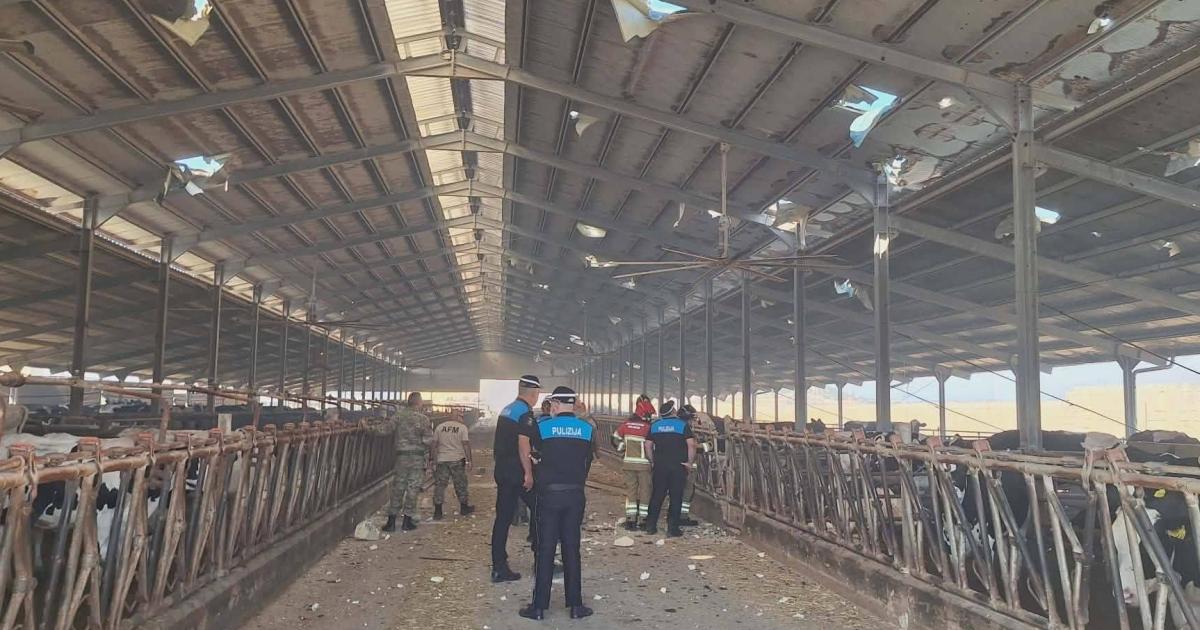 Havai Fişek Patlamasından Etkilenen Çiftlik Yardım İstiyor: 'Her Şey Dakikalar İçinde Yok Oldu'