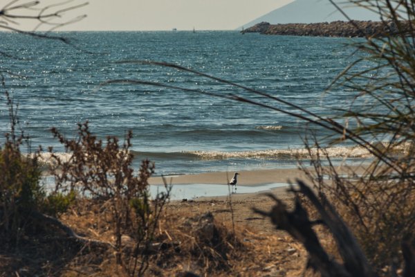Fas, Afrika'nın Lider Turizm Destinasyonu Olmaya Devam Ediyor