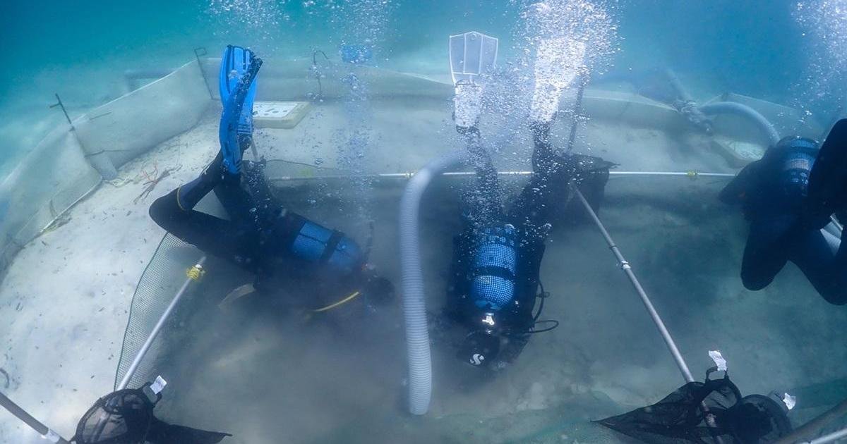 Malta Üniversitesi'nin Deniz Arkeolojisi Yüksek Lisansı UNESCO Ağına Kabul Edildi