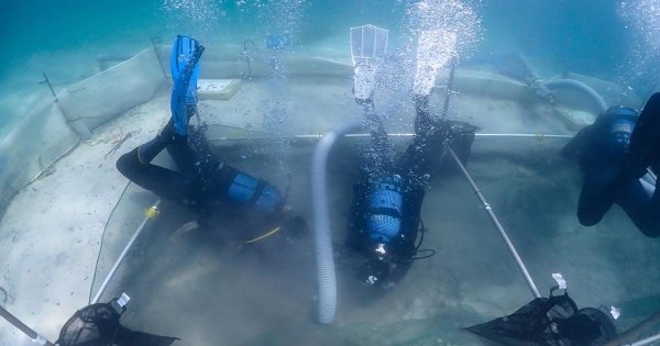 Malta Üniversitesi'nin Deniz Arkeolojisi Yüksek Lisansı UNESCO Ağına Kabul Edildi
