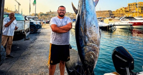 İzle: Malta Açıklarında 160 Kiloluk Dev Mavi Yüzgeçli Orkinos Yakalandı