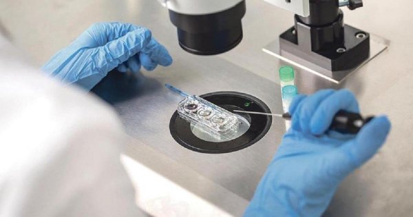 Tüp Bebekte Genetik Test Listesinin Genişletilmesine Engellilerden Tepki