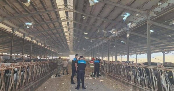 Salina Çiftliği'nden Havai Fişek Fabrikası Patlamasında 700 Bin Euro Tazminat Davası