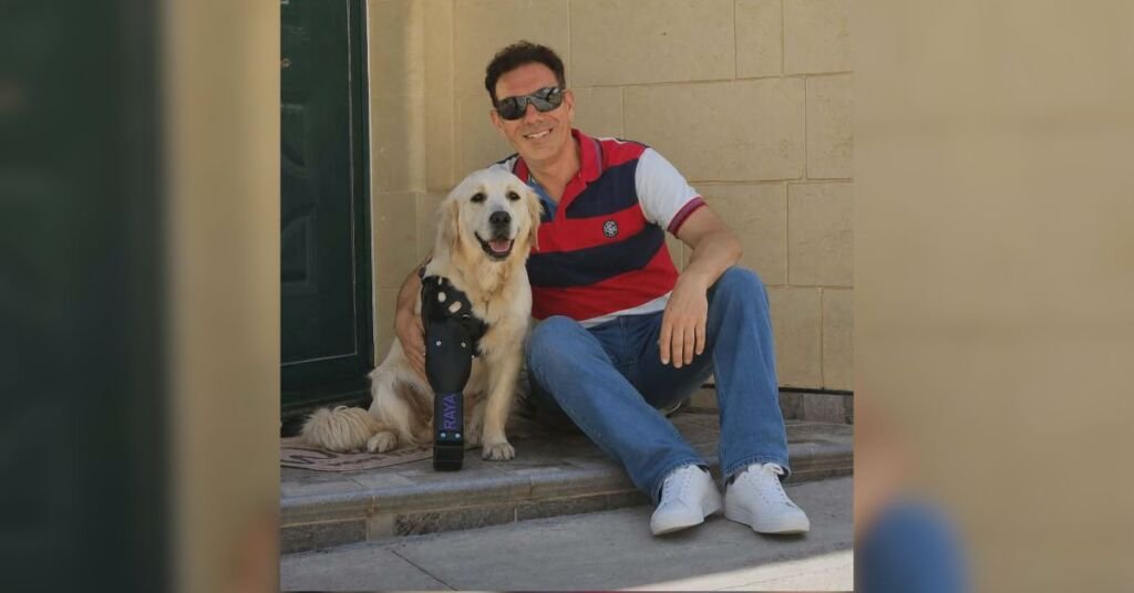 Gozo'nun Sevilen Okul Köpeği Raya Yeni Protez Bacağıyla Hayatına Devam Ediyor