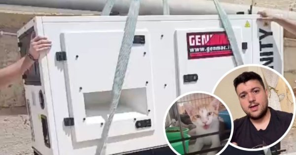 James Ryder'ın Kedi Barınağı Kampanyası 8 Saatte 25.000 Euro Topladı