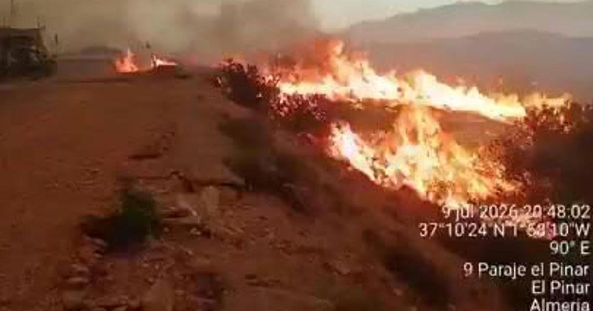 İspanya'daki Orman Yangınında Ölü Sayısı 12'ye Yükseldi