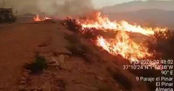 İspanya'daki Orman Yangınında Ölü Sayısı 12'ye Yükseldi