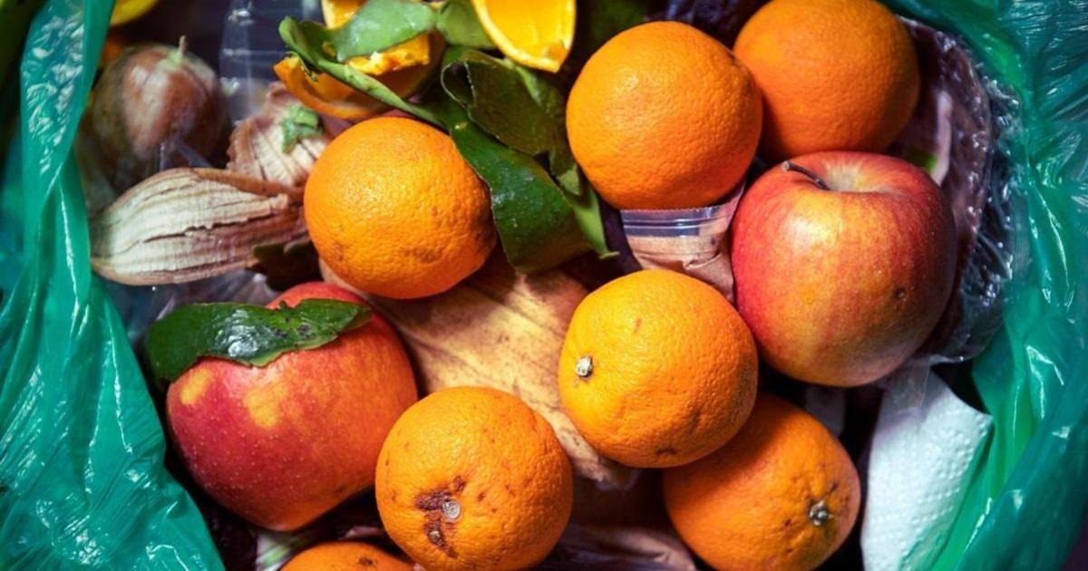 Malta'da Gıda İsrafına Karşı Yeni Uygulama: Food Connect