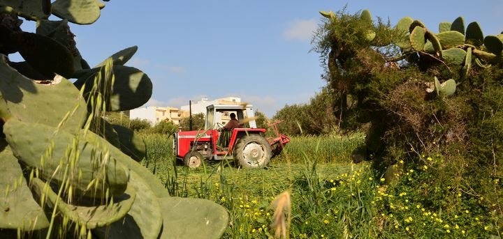 Ulusal Tarım Politikası Beyaz Belgesi İçin Halk Danışma Toplantıları