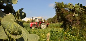 Ulusal Tarım Politikası Beyaz Belgesi İçin Halk Danışma Toplantıları
