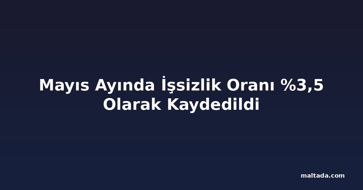 Mayıs Ayında İşsizlik Oranı %3,5 Olarak Kaydedildi