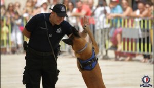 Ghajnsielem'de Gozo Polis Günü Anma Töreni Düzenlenecek