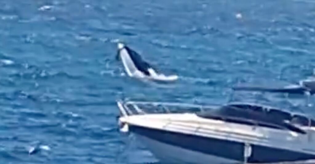 Marsalforn'da Tekne Battı: Malta ve Gozo'yu Kuvvetli Rüzgar Vurdu