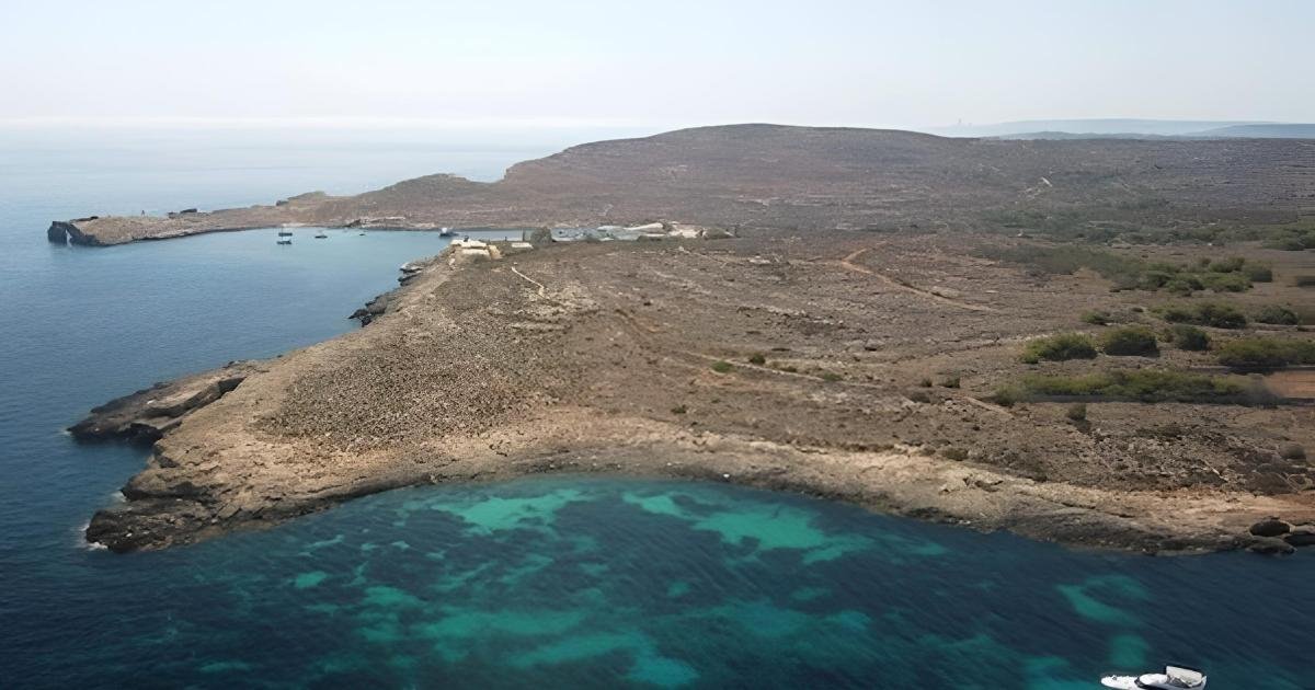 Moviment Graffitti, Comino'daki 800 Ağacı Kurtarmak İçin Kitle Fonlaması Başlattı
