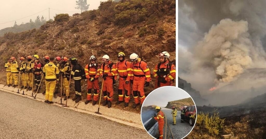 Malta İtfaiyecileri Portekiz'deki Büyük Orman Yangınıyla Mücadeleye Katıldı