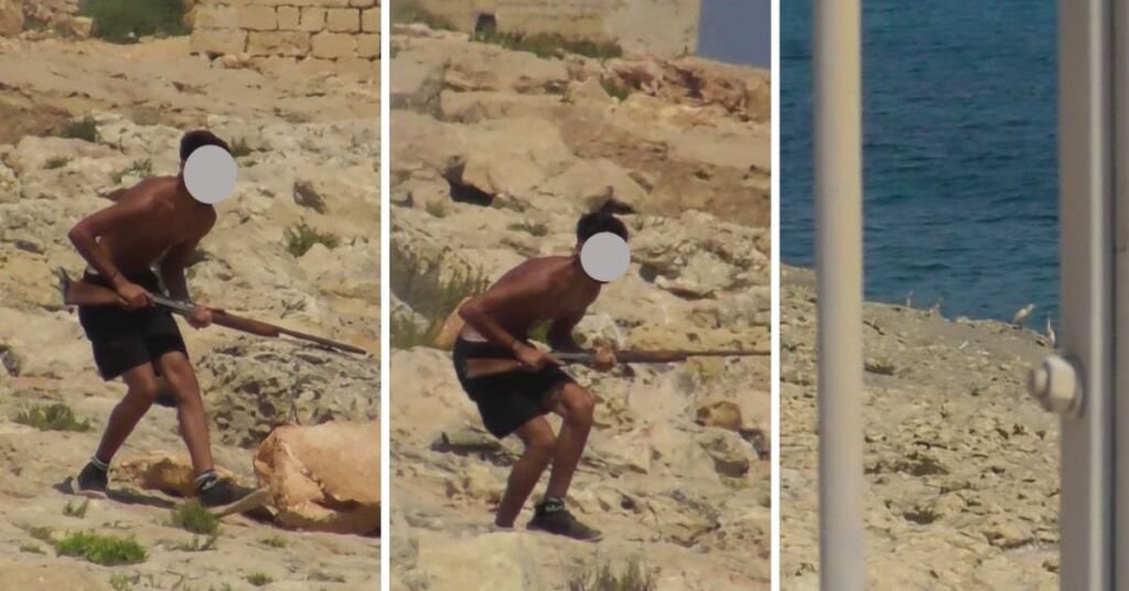 Żonqor'da Gündüz Vakti Vahşet: Koruma Altındaki Balıkçıllar Vuruldu