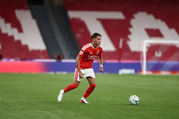 Newcastle United, Benfica'dan Amar Dedic'i Transfer Etti