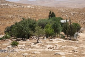 Malta, İsrail'in Batı Şeria'daki Yerleşimlerini Kınayan AB Bildirisini Destekledi