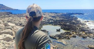 MTA İş Birliğine Dahil Edilmeyen Malta Rangers, Çirkewwa Deniz Parkı Denetimlerini Durdurdu