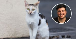 James Ryder'dan Sokak Kedileri İçin Komedya Gecesi