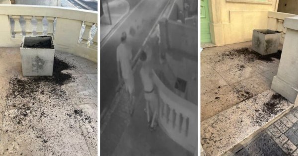 Paceville'de Gece Yarısı Vandalizmi: Güvenlik Kamerası İki Gencin Ağacı Söküp Mülke Zarar Verdiği Anı Kaydetti