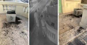 Paceville'de Gece Yarısı Vandalizmi: Güvenlik Kamerası İki Gencin Ağacı Söküp Mülke Zarar Verdiği Anı Kaydetti