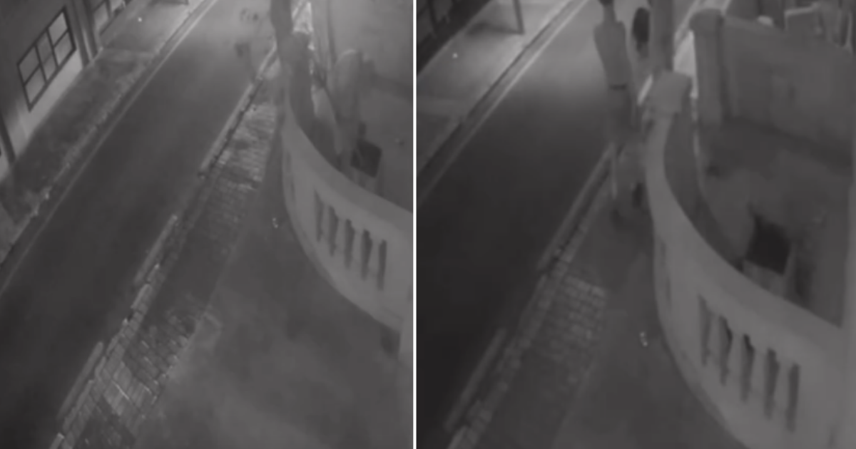 Paceville'deki Bir Evin Balkonundan Zeytin Ağacı Çalındı: Güvenlik Kamerası Görüntüleri Ortaya Çıktı