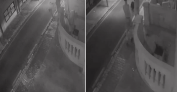 Paceville'deki Bir Evin Balkonundan Zeytin Ağacı Çalındı: Güvenlik Kamerası Görüntüleri Ortaya Çıktı