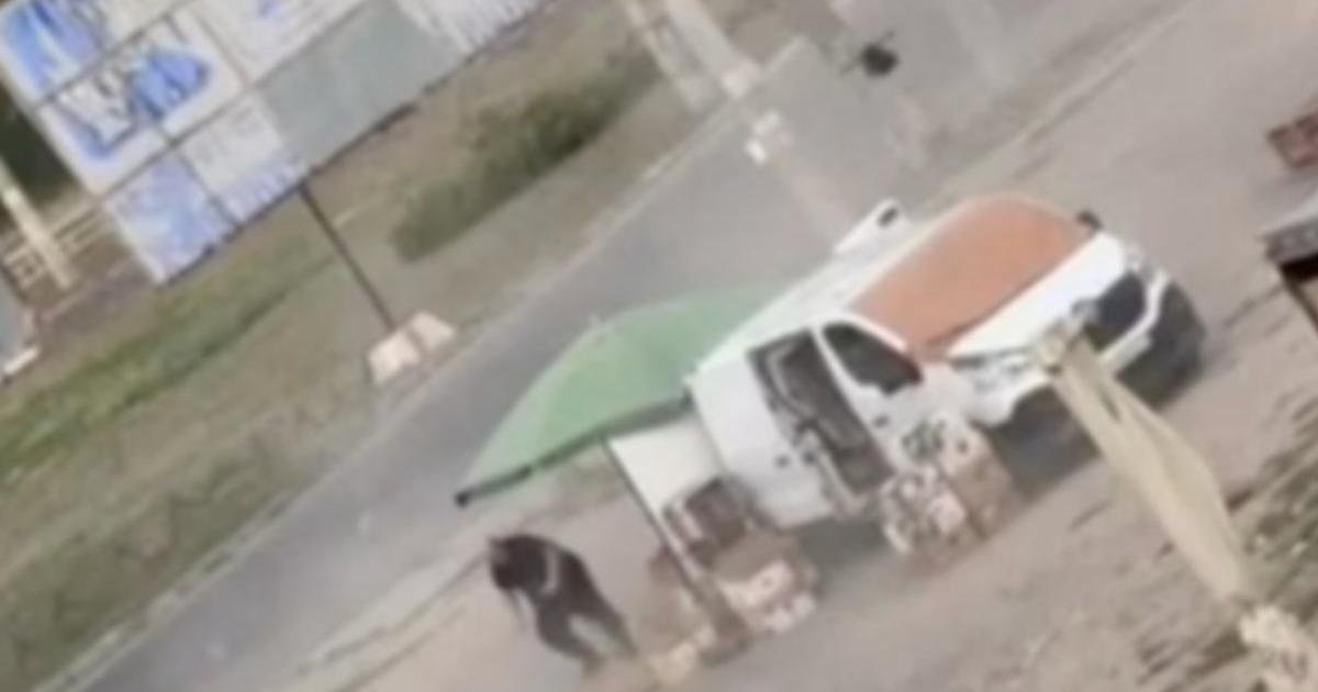 Rus Drone'u Sebze Satıcısını Kovaladı, Ardından Patladı